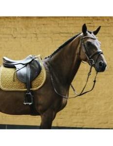Tapis kentucky velvet