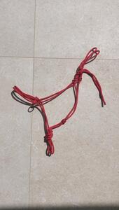 Licol éthologique rouge avec anneaux