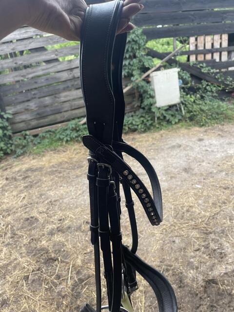 Bridon noir en cuir Smart Wag