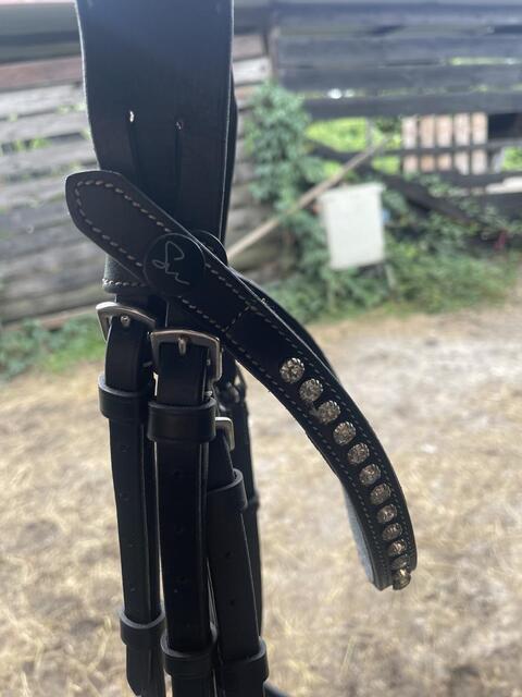 Bridon noir en cuir Smart Wag