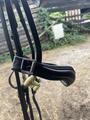 Bridon noir en cuir Smart Wag