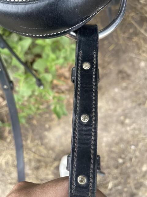 Bridon noir en cuir Smart Wag
