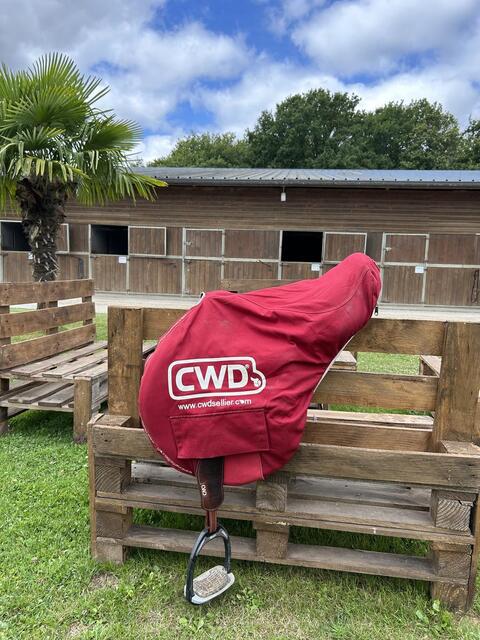 Selle cwd