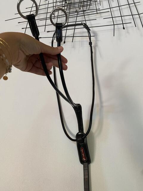 Martingale Équipe Neuve