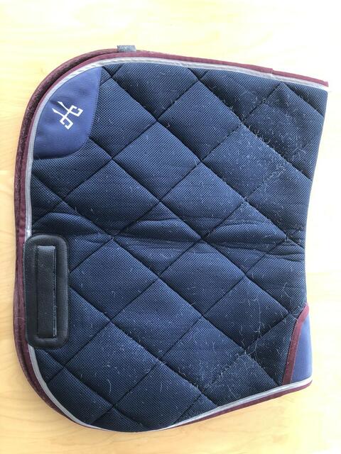 Tapis Horse Pilot