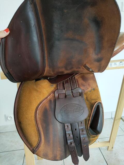 Selle Bates australia (Caprilli)