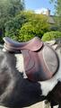 Selle Antares Connexion 18’