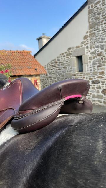 Selle Antares Connexion 18’