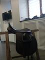 Selle mixte cheval