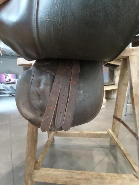 Selle mixte cheval