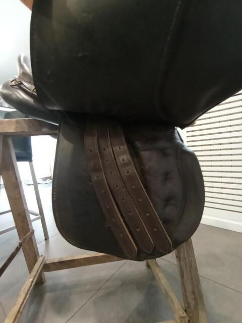 Selle mixte cheval