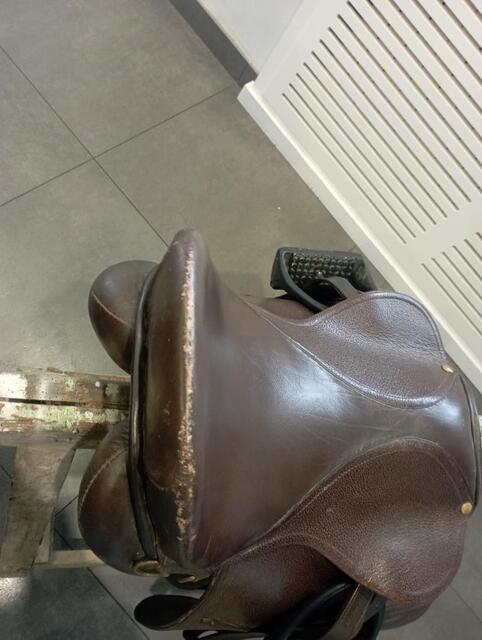 Selle mixte cheval
