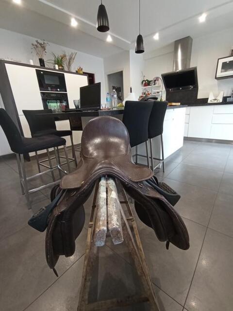 Selle mixte cheval