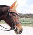 Tapis + Bonnet Orange BR