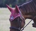 Bonnet Euro-Star