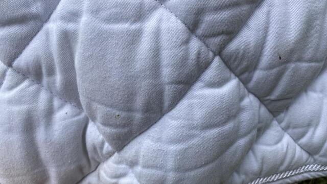 Tapis blanc