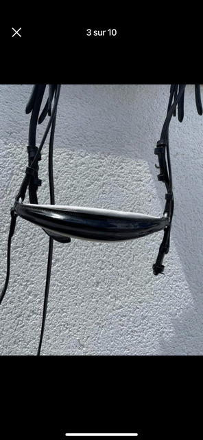 Filet muserolle allemande noir et blanc