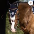 Bonnet antares