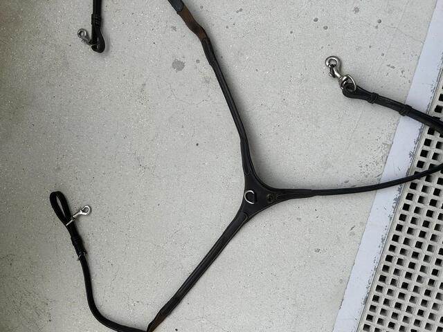 Collier de chasse protanner