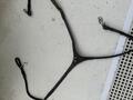 Collier de chasse protanner