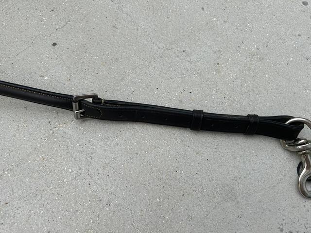Collier de chasse protanner
