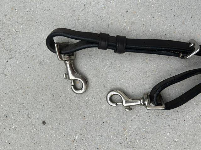 Collier de chasse protanner