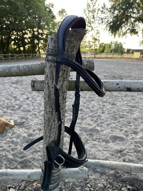 Filet 3 en 1 Waldhausen