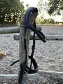 Filet 3 en 1 Waldhausen