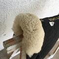 Amortisseur ETCH LAMMFELL mouton synthétique