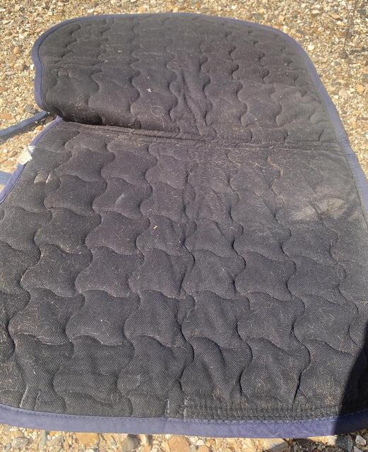 tapis felix bhuler