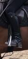 Chaps CSO taille S
