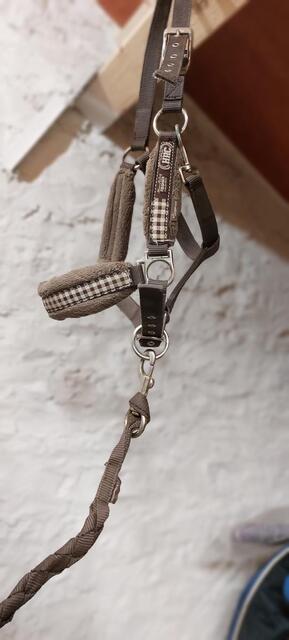 Licol +longe marron fouganza
