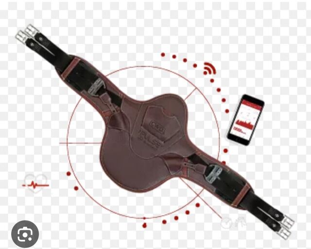 Sangle cwd