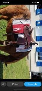 Selle western