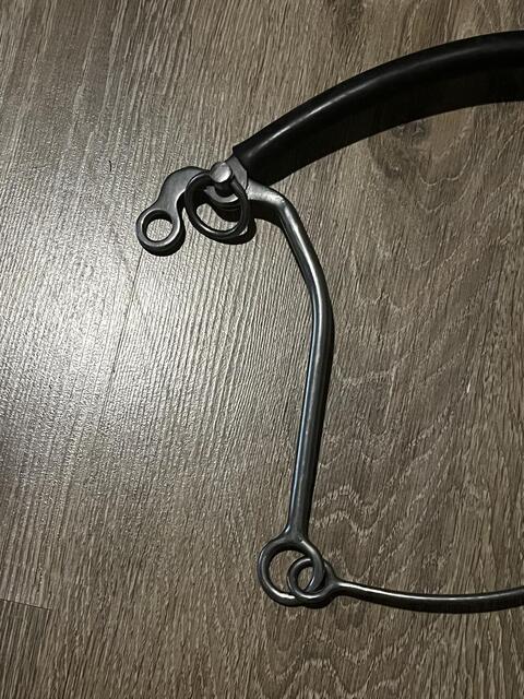 Hackamore
