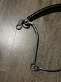 Hackamore