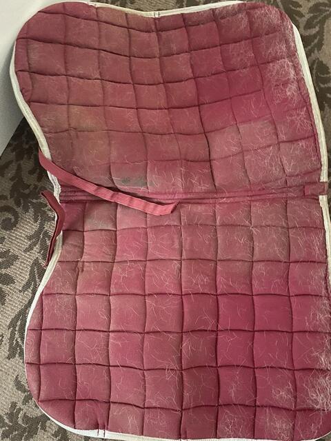 Tapis cheval performance