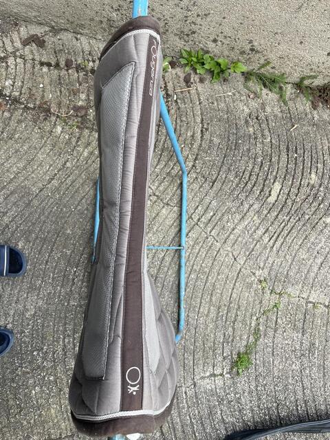 Tapis