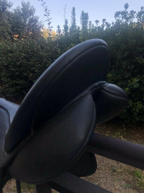 Selle Wintec mixte 17’