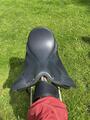 Selle wintec dresssage