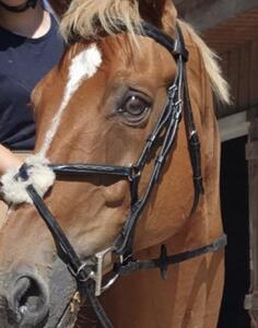 Filet EQUIPE