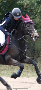 Collier de chasse en cuir marron Equipe