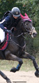 Collier de chasse en cuir marron Equipe