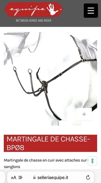 Collier de chasse en cuir marron Equipe