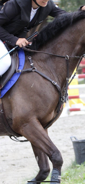 Collier de chasse en cuir marron Equipe