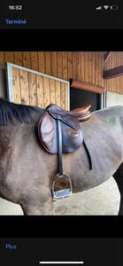 Selle Delgrange 17