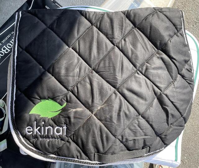 Tapis ekinat