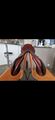 Selle obstacle CWD