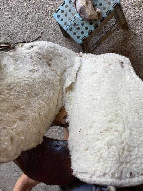 selle western enfant