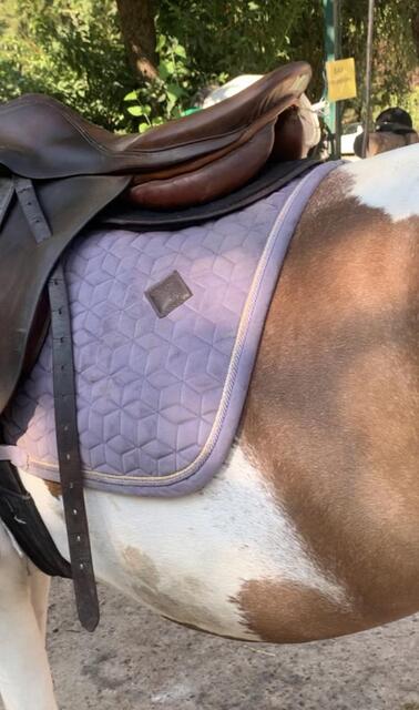 Tapis Kentucky